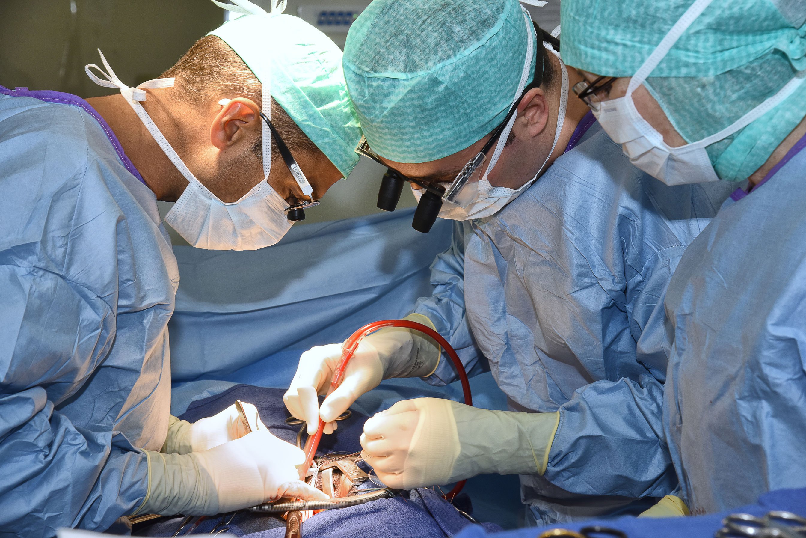 La chirurgie des valves cardiaques et les pathologies traitées - Lyon/Annecy